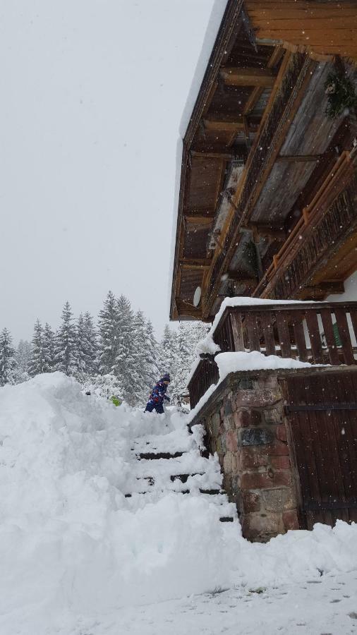 Oberseebachhof Scheffau am Wilden Kaiser Esterno foto